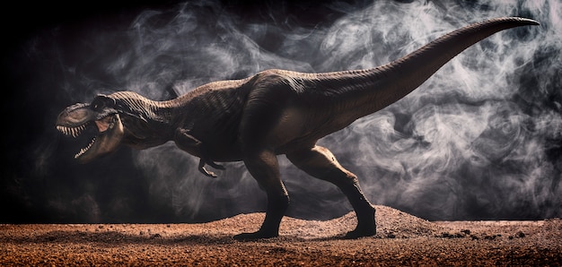 Tyrannosaurus rex isolated black surface