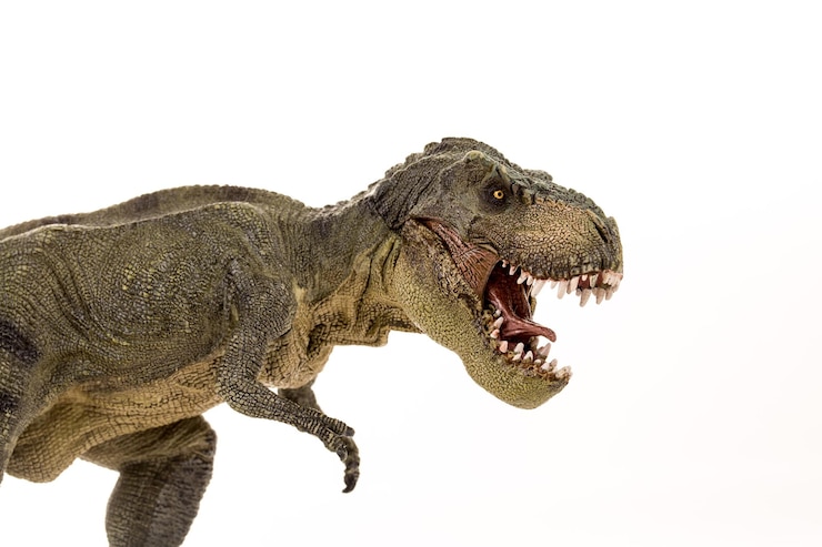 Photo 白で分離されたティラノサウルスレックス