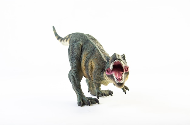 Tyrannosaurus T-rex, dinosaur isolated