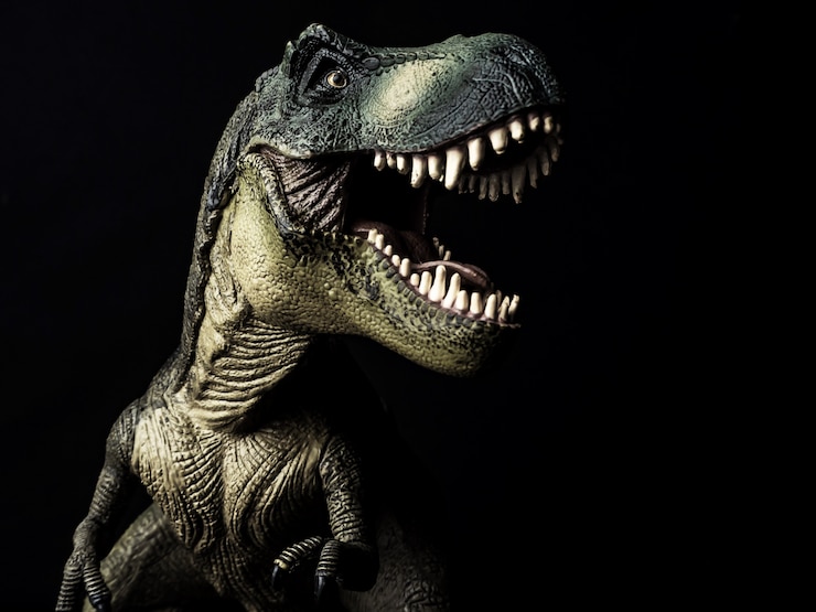 Foto tyrannosaurus t-rex dinosaurus op zwarte achtergrond