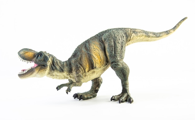 Tyrannosaurus T-rex, geïsoleerde dinosaurus