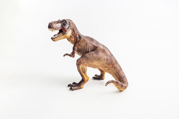 Tyrannosaurus on white background