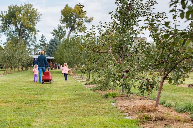 U-pick appelboerderij op een dag in de herfst.