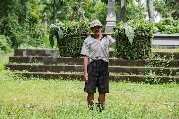 사진 ubud indonesia august 18 2016 지역 발리 섬 사람들은 가난하지만 행복합니다