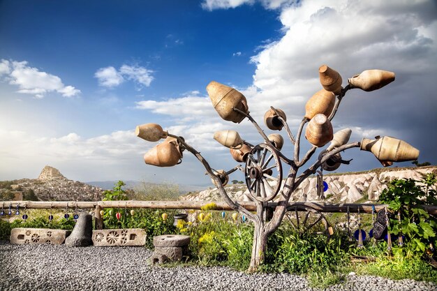 Uchisar-kasteel en boom in Cappadocië