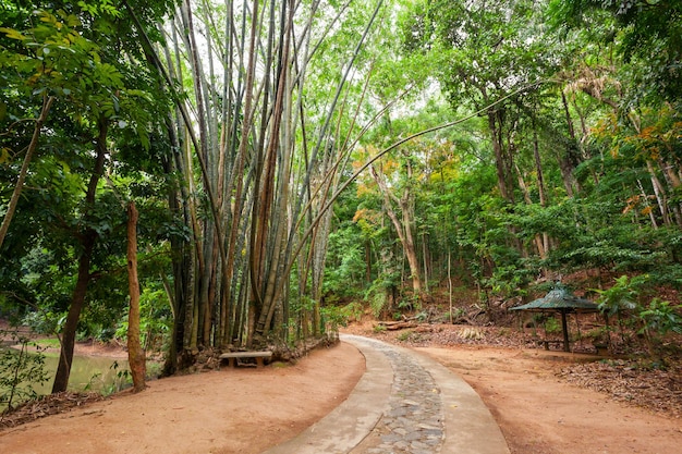 Udawatta Kele Kandy Royal Forest Park or Udawattakele Sanctuary is a historic forest reserve on a hill-ridge in the city of Kandy, Sri Lanka