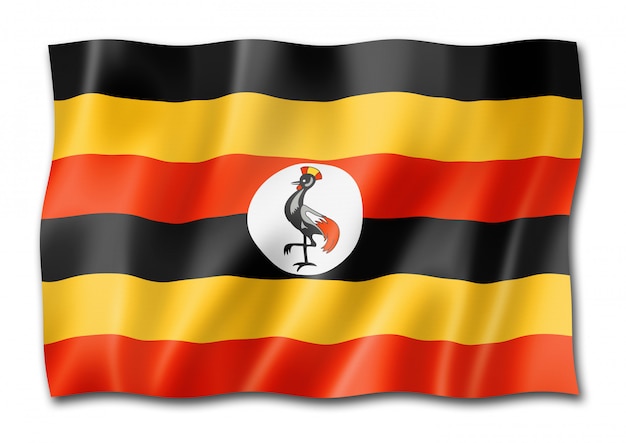 Uganda flag isolated