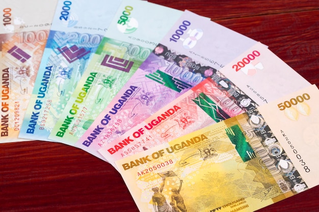 Ugandan shilling a business background