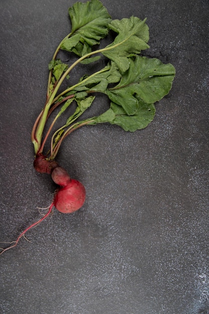 Photo ugly radish root crop on a dark background vertical orientation place for a copy space