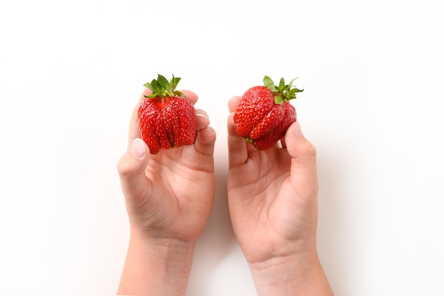 Ugly ripe organic strawberry in child hands