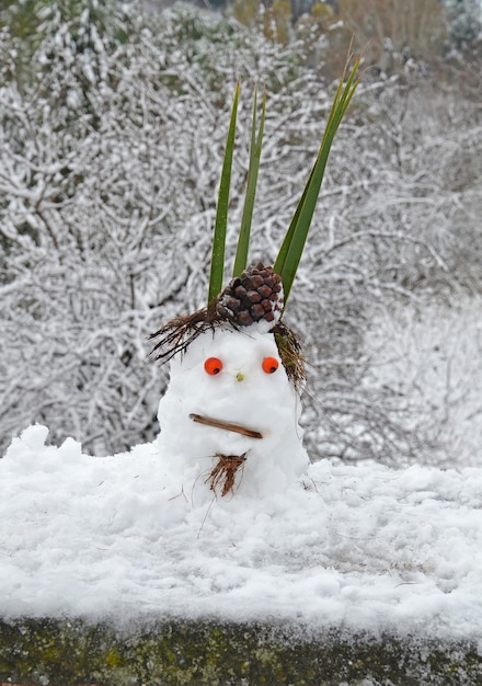 Foto brutto pupazzo di neve