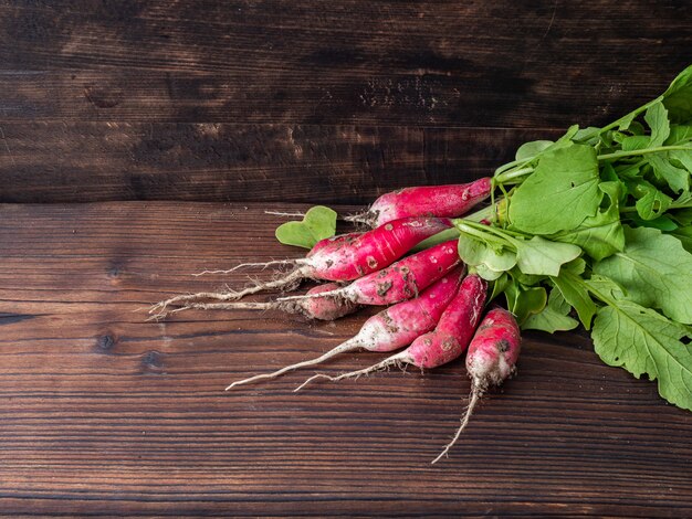 Ugly vegetable green radish with sprouts on a dark wood