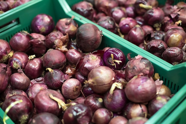 Uien in dozen in supermarkt