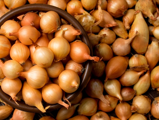 Uiensets. Kleine gele bollen om in een mandclose-up te planten. Uitzicht van boven. ui achtergrond