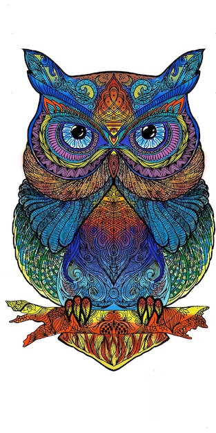 uil gekleurde illustratie