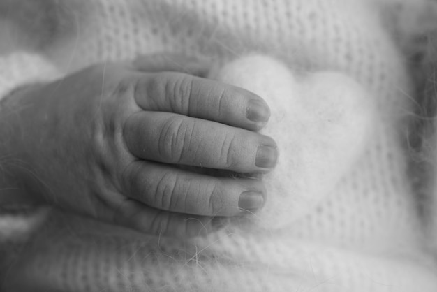 Foto uiterst kleine hand van een pasgeboren baby. zachte handen van pasgeborenen houden wollen hart vast. vingers van een pasgeboren baby handen close-up. studio macro foto. geluk van een vrouw. fotografie, concept. zwart-wit foto