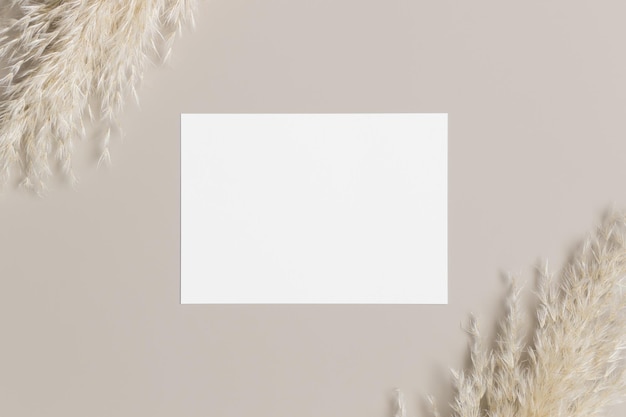 Uitnodiging witte kaart mockup met een pampagras decoratie 5x7 verhouding vergelijkbaar met A6 A5