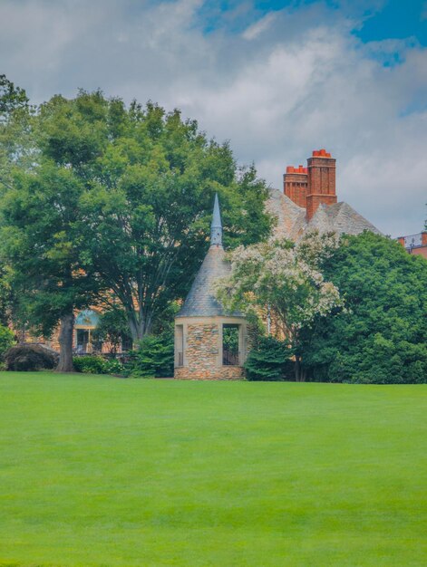 Uitstekend kasteel dat van achter bomen groene weelderige aardzomer een hoogtepunt bereikt