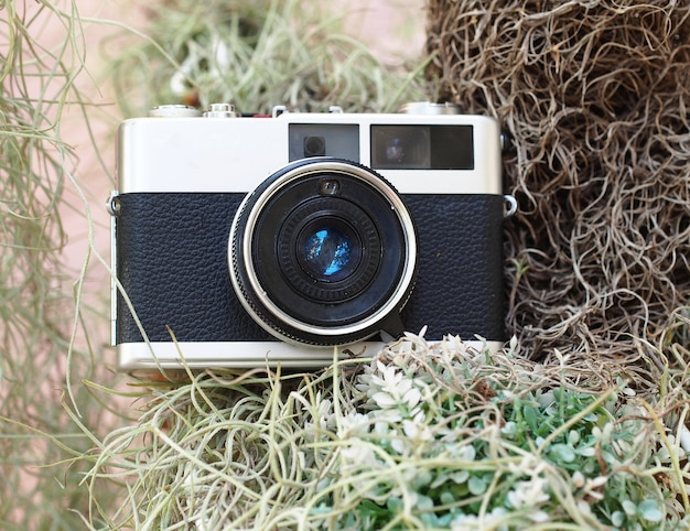 Uitstekende oude camera met bloem op oude houten