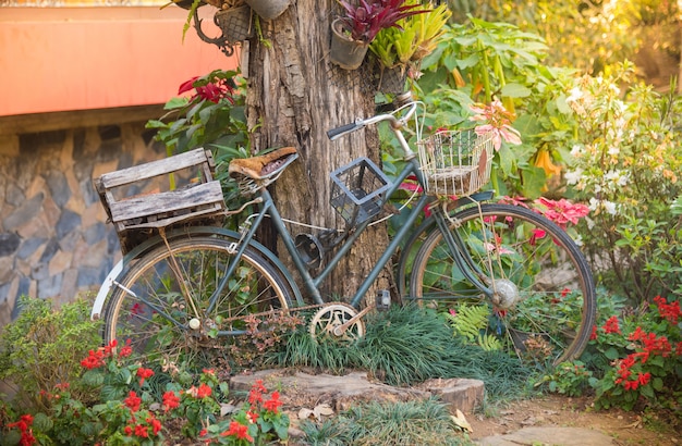 Uitstekende oude fiets met tuinachtergrond