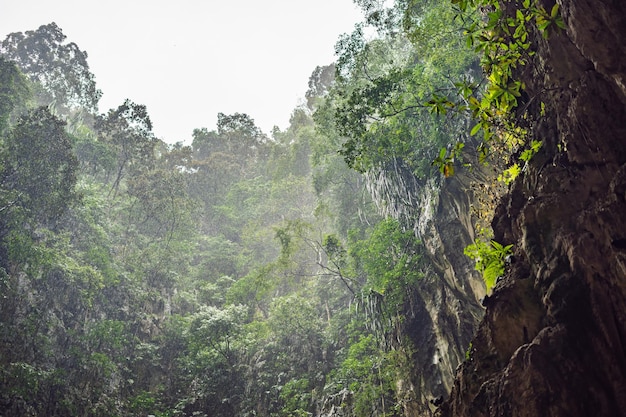 Uitzicht in de batu-grotten bij kuala lumpur maleisië