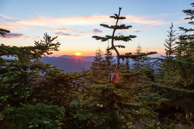 Uitzicht op Amerikaans berglandschap tijdens een levendige en kleurrijke zomerzonsondergang