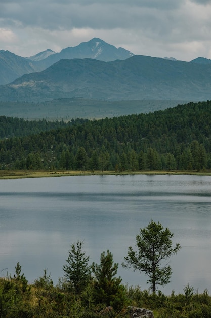 Uitzicht op bergmeren in het ulagan-gebied van de altai-republiek