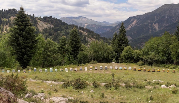 Uitzicht op bijenstal in de buurt van dorpsbos en bergen op een bewolkte zomerdag griekenland bergen pindos regio tzoumerka