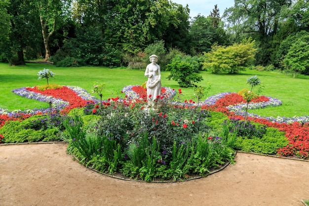 Foto uitzicht op bloeiende planten in het park