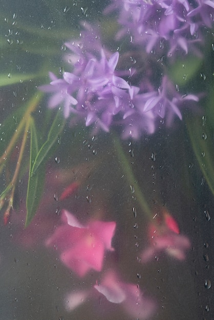 Uitzicht op bloemen achter condensglas