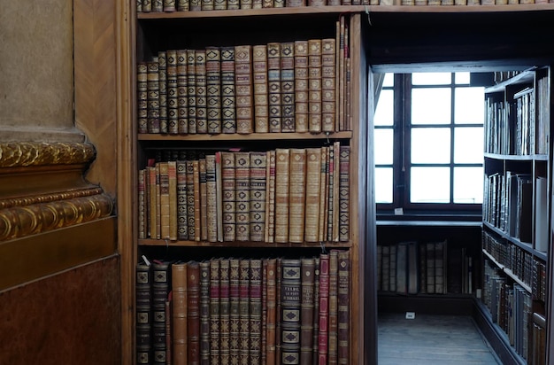 Uitzicht op boeken op de plank