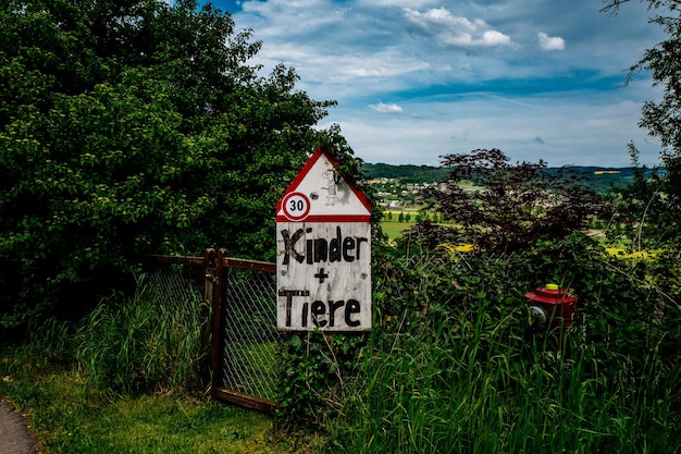 Uitzicht op bomen op een grasveld