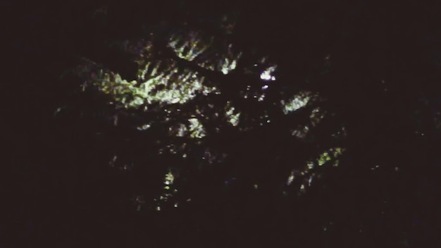 Foto uitzicht op bomen's nachts