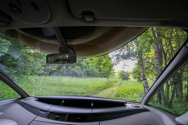 Uitzicht op boslandweg door autoglas tijdens de reis