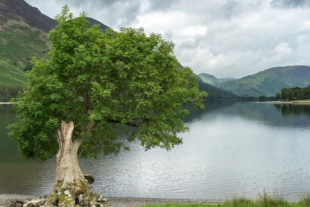 Uitzicht op Buttermere