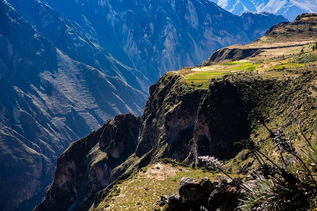 Uitzicht op Colca Canyon in Peru