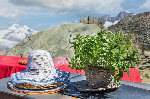 Uitzicht op de Aletschgletsjer in de Zwitserse Alpen