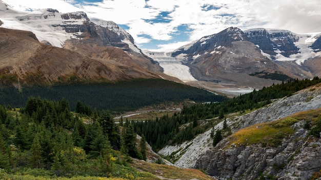 Uitzicht op de Athabasca gletsjer vanaf Wilcox peak trail en voorhoede bos en bergen in Jasper National Park, Alberta, Canada.