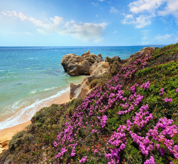 Uitzicht op de Atlantische bloeiende kust Algarve Portugal