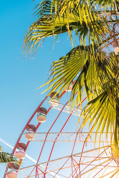Foto uitzicht op de attractie van het reuzenwiel tegen een achtergrond van blauwe lucht tussen palmbomen