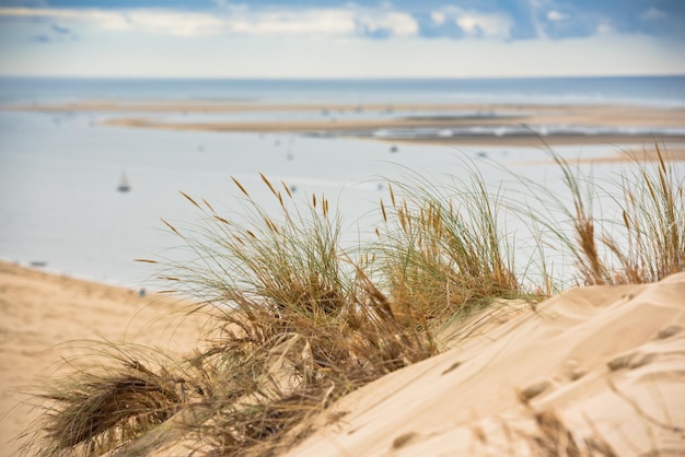 Uitzicht op de baai van arcachon en de duna van pyla, aquitaine, frankrijk