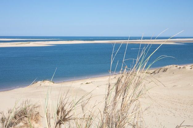 Uitzicht op de baai van Arcachon en de Duna van Pyla, Pilat Aquitaine, het hoogste duin van Frankrijk in Europa