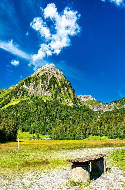 Uitzicht op de berg Brunnelistock bij het meer van Obersee in de Zwitserse Alpen