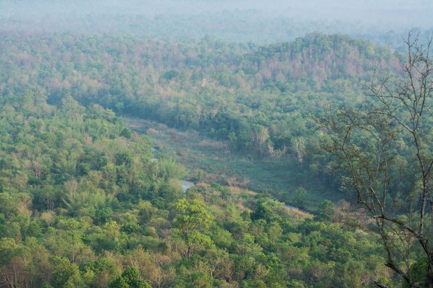 uitzicht op de bergen van Mae Wong National Park met kikker