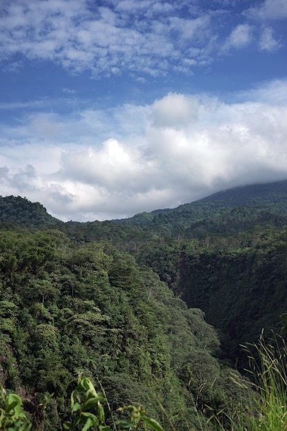 Uitzicht op de bergen vanuit de jungle