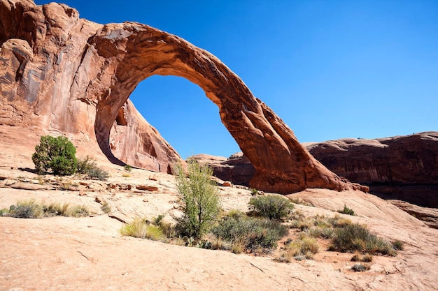 Uitzicht op de beroemde Corona Arch, USA