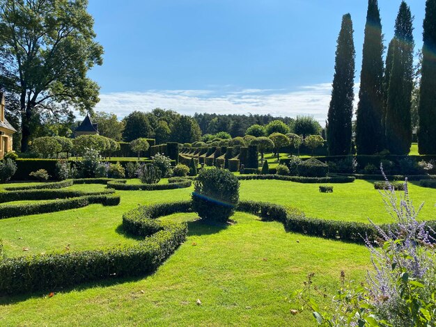 Foto uitzicht op de formele tuin