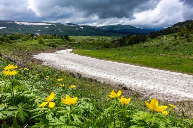 Foto uitzicht op de gletsjer bij het lagonaki-plateau in adygea the kaukasus mountains rusland 2021