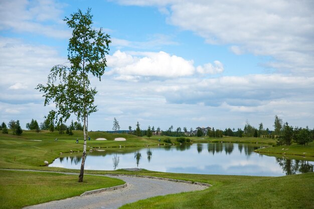 Uitzicht op de golfbaan op een zomerse dag Op de voorgrond staat een berk op de achtergrond