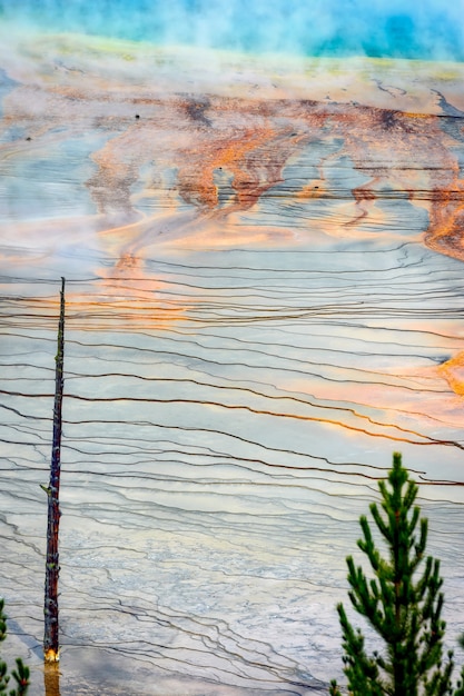 Uitzicht op de Grand Prismatic Spring